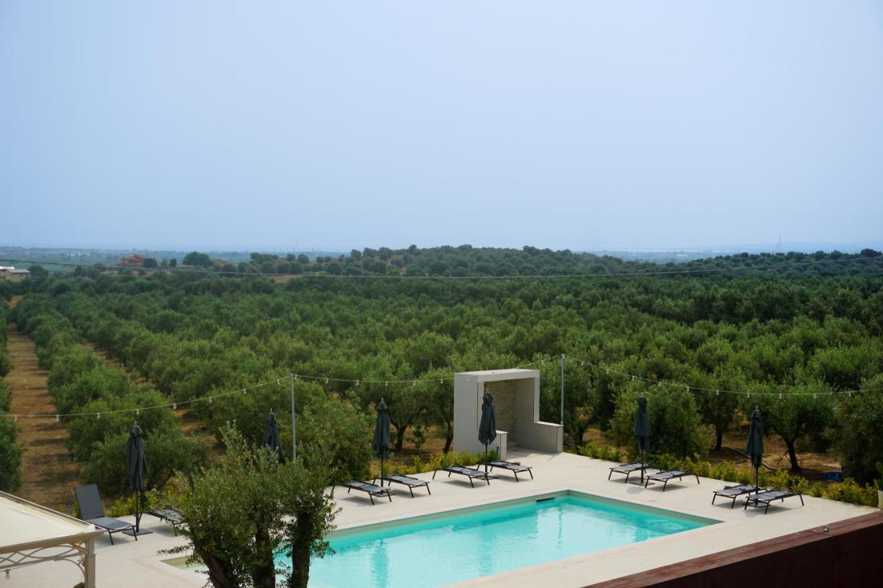 מרינה די סיבארי Agriturismo Casacchella מראה חיצוני תמונה