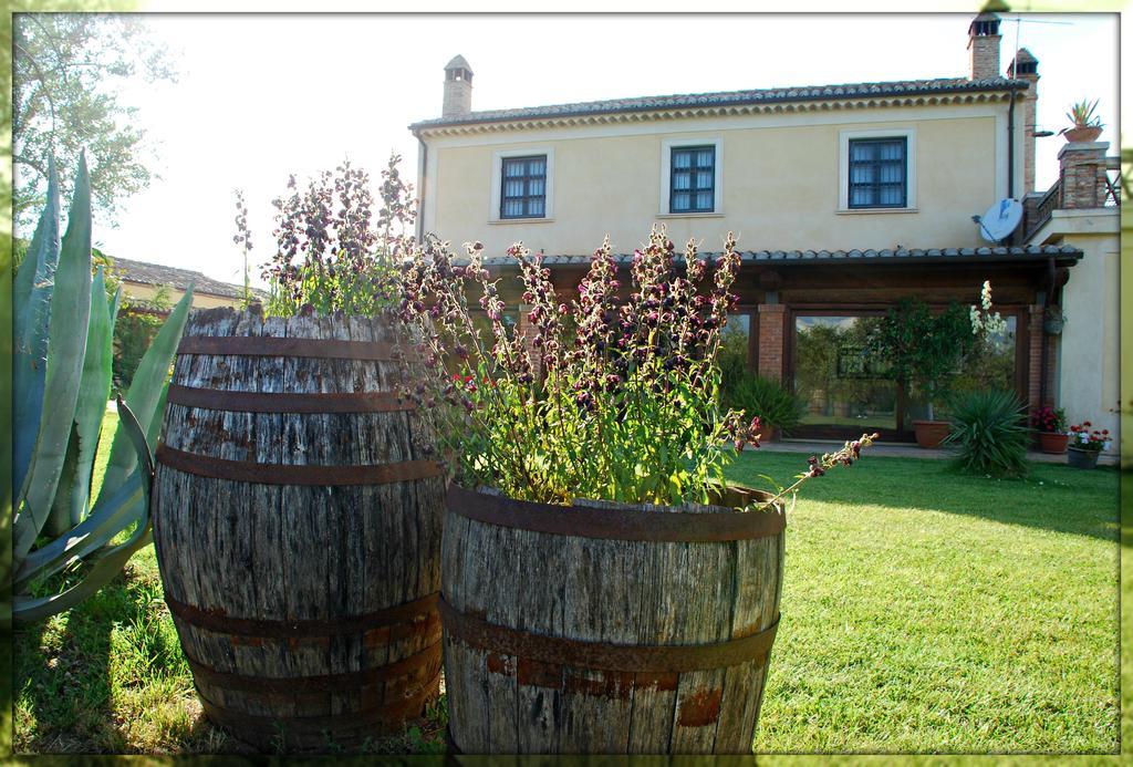 מרינה די סיבארי Agriturismo Casacchella מראה חיצוני תמונה